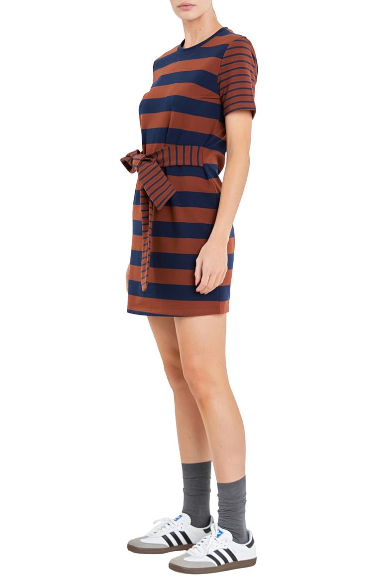 Contrast Stripe Tie Waist Minidress