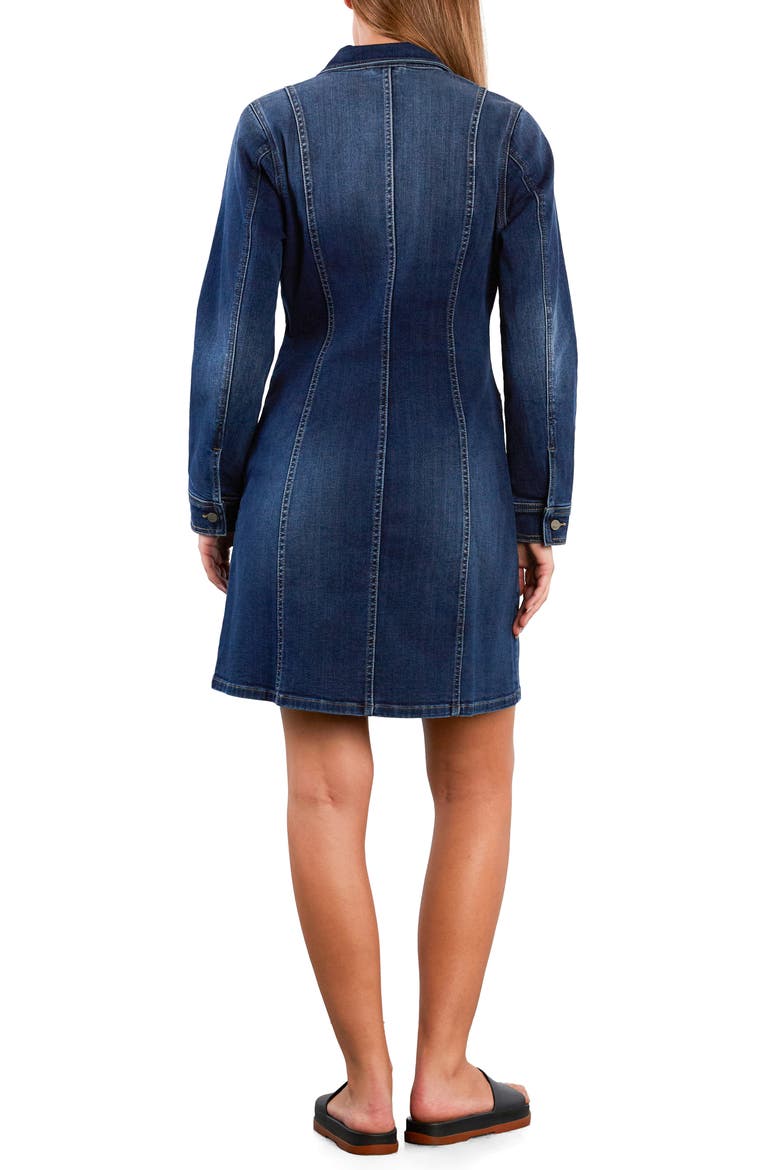 Wisp Long Sleeve Stretch Denim Dress