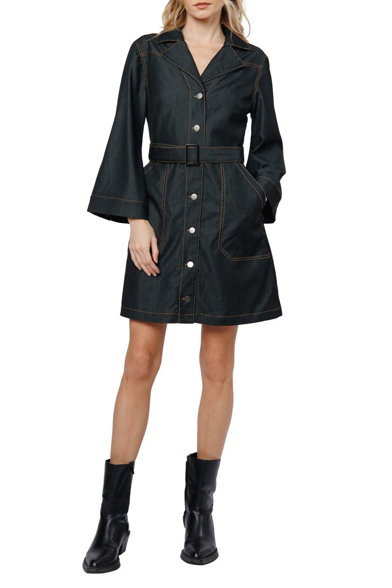Franny Long Sleeve Denim Mini Shirtdress