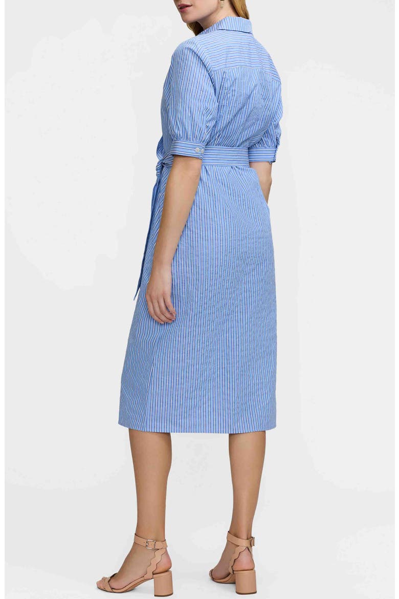 Esther Belted Stripe Cotton Shirtdress