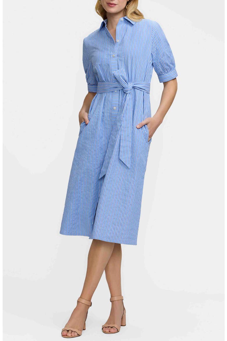 Esther Belted Stripe Cotton Shirtdress