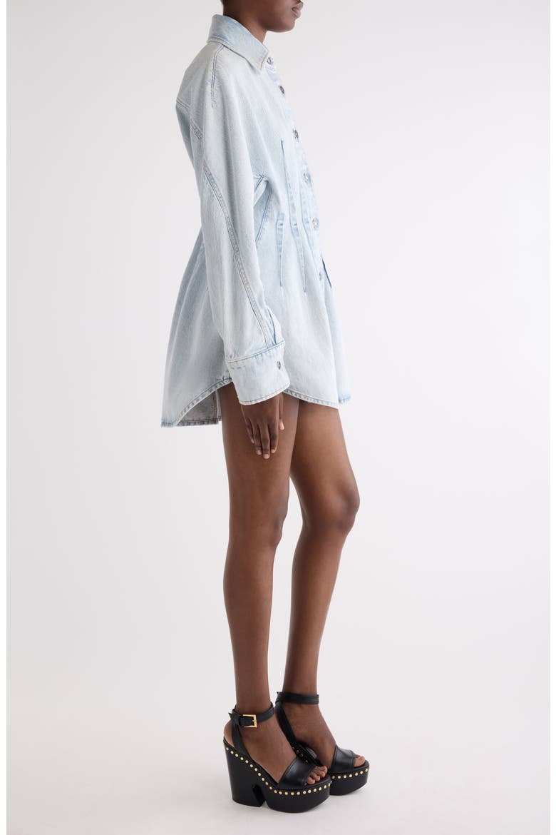 Long Sleeve Shaped Denim Minidress