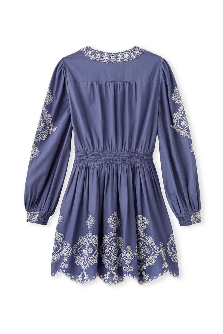 Blake Embroidered Mini Dress