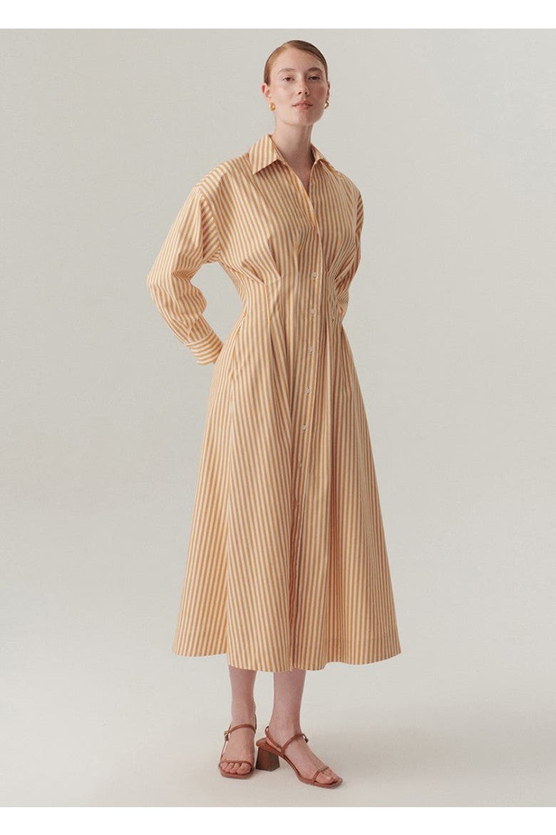 Sutton Collar Midi Dress