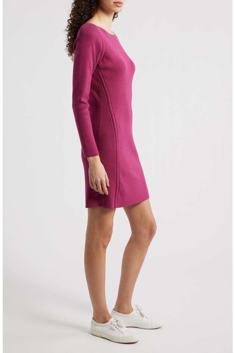 Delphina Braid Detail Long Sleeve Cotton Blend Sweater Minidress