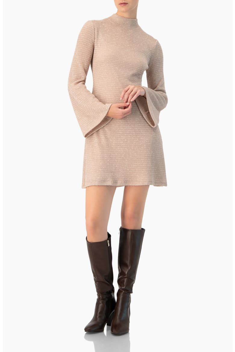 Short Knitted Long Sleeve Dress
