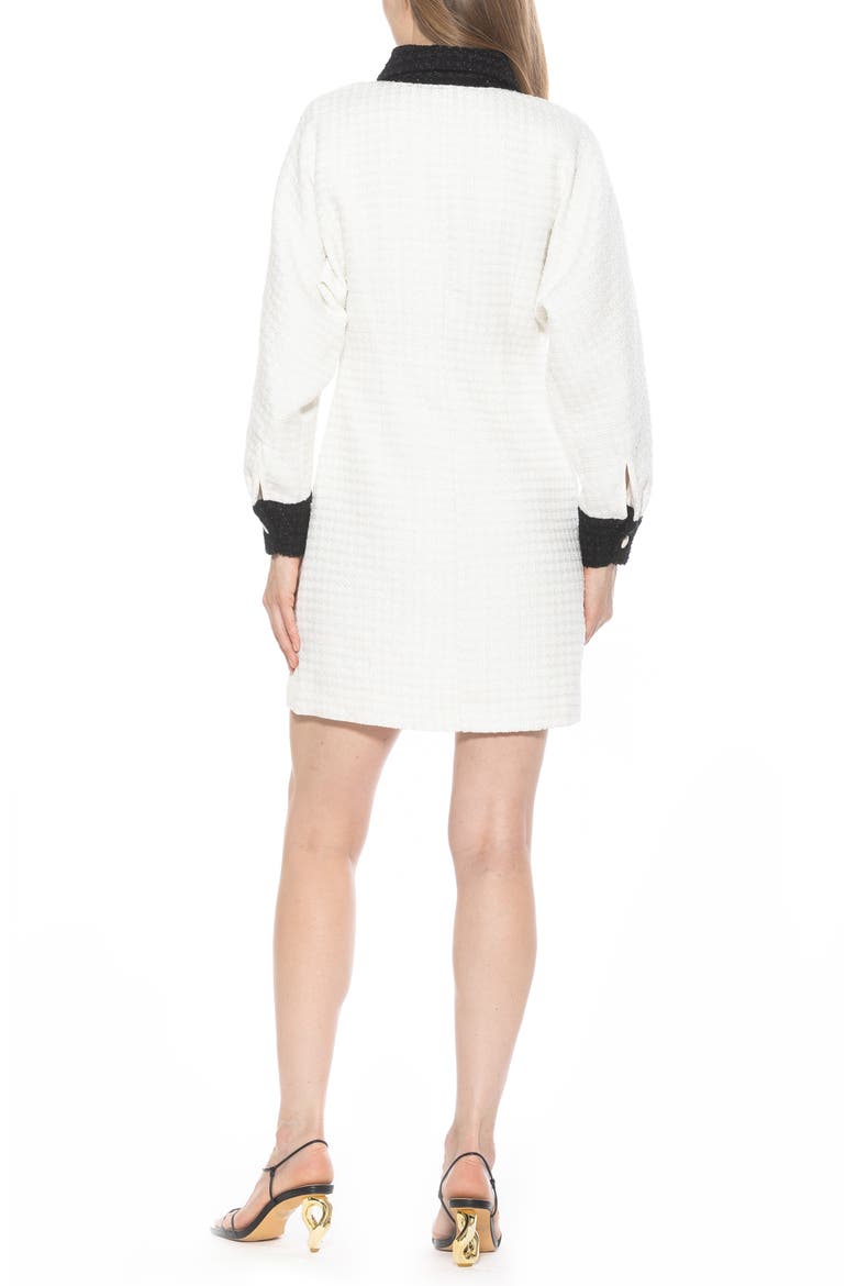 Velvette Long Sleeve Mini Tweed Shirtdress