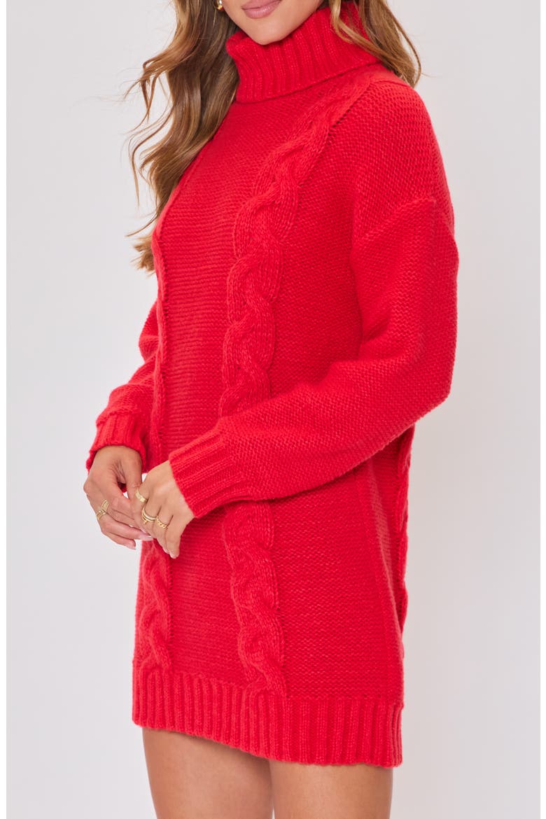 Olivia Turtleneck Long Sleeve Mini Sweater Dress