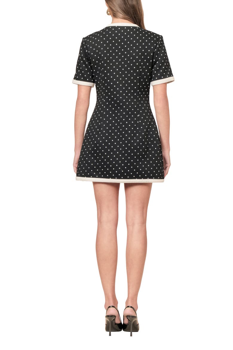 Taylor Polka Dot Minidress