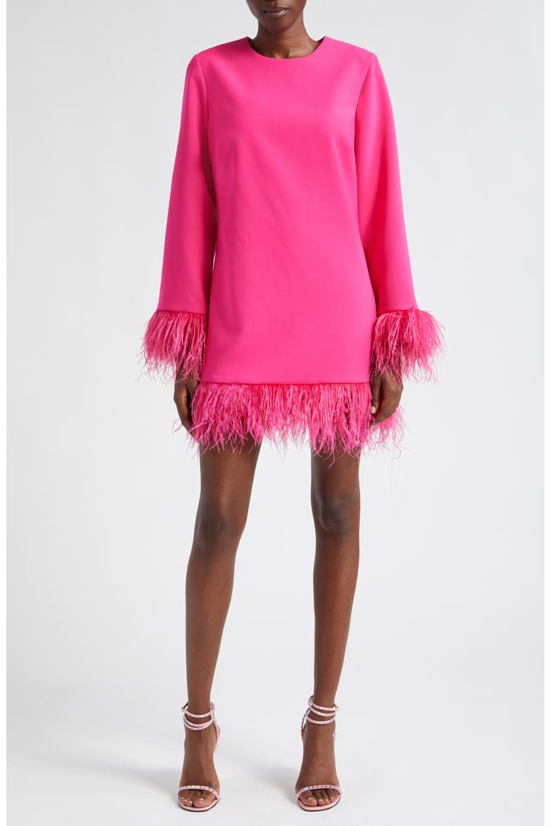 Marullo Feather Trim Long Sleeve Dress