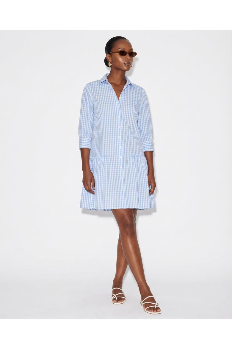The Drop Waist Shirt Dress
