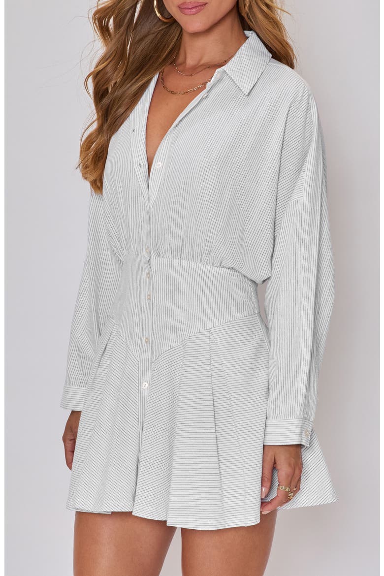 Taylor Stripe Long Sleeve Cotton & Linen Mini Shirtdress