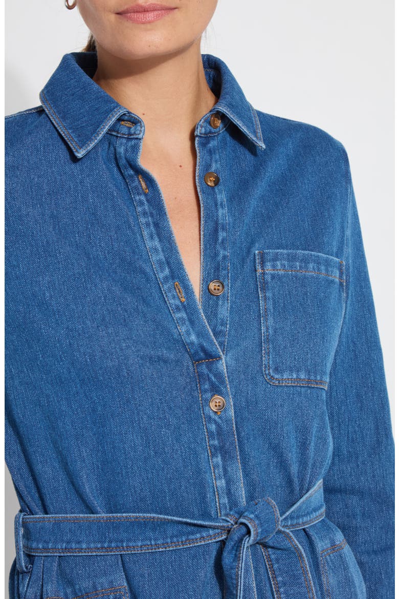 Schiffer Long Sleeve Stretch Cotton Chambray Shirtdress