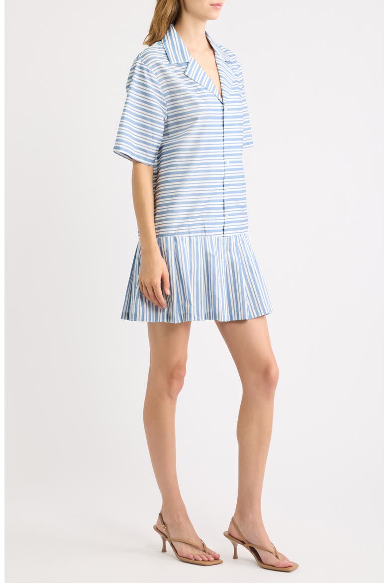 Fraser Stripe Drop Waist Minidress