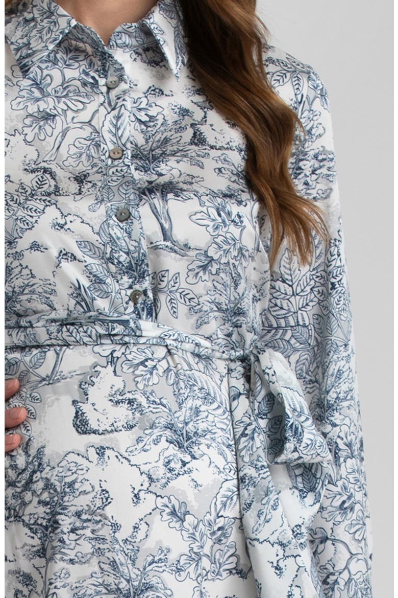Print Long Sleeve Maternity Dress