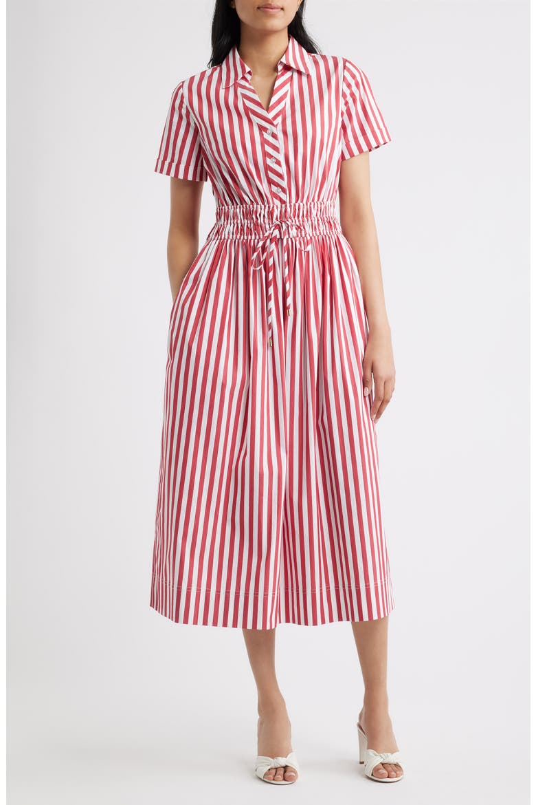 Stripe Cotton Blend Shirtdress
