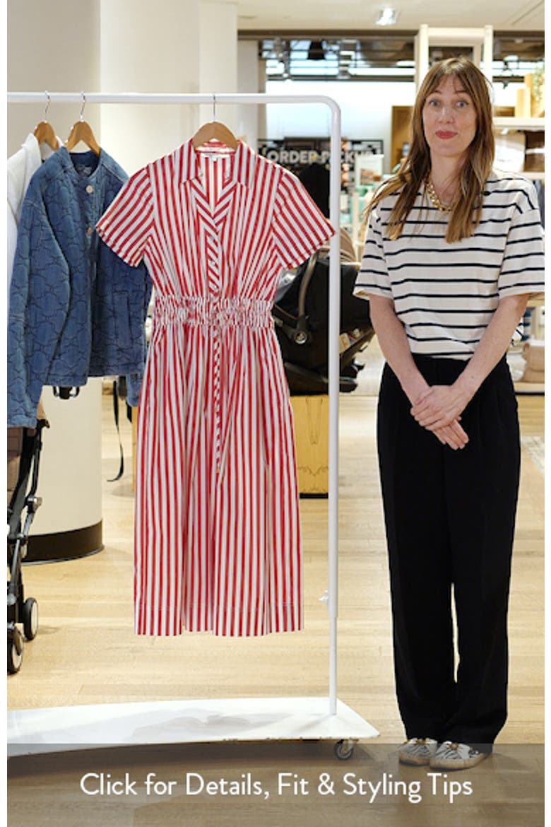 Stripe Cotton Blend Shirtdress