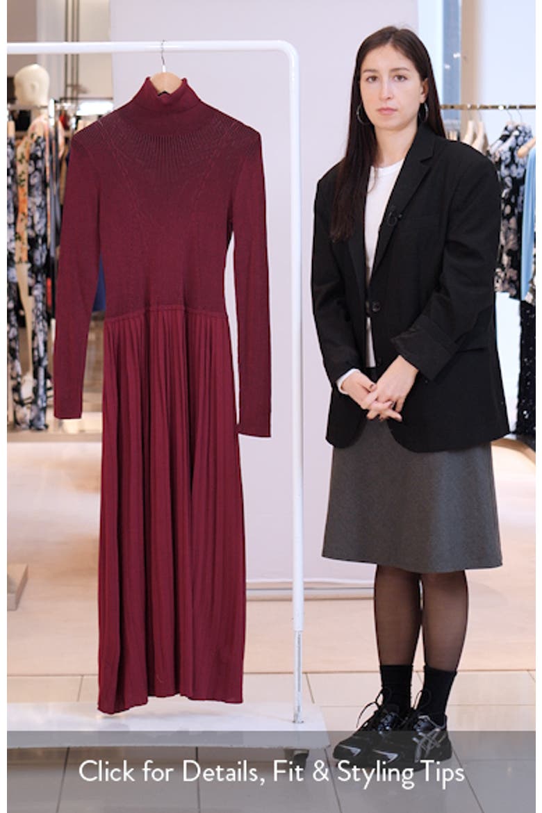 Long Sleeve Pleat Turtleneck Maxi Dress