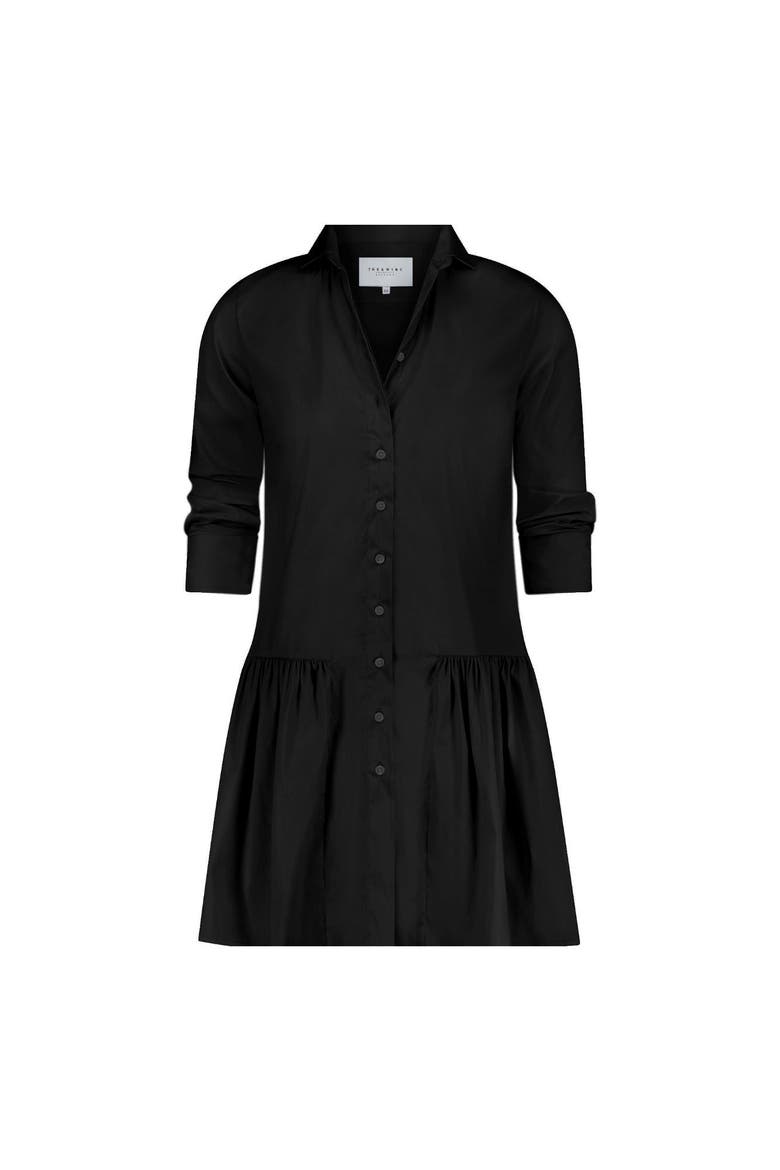The Drop Waist Shirt Dress