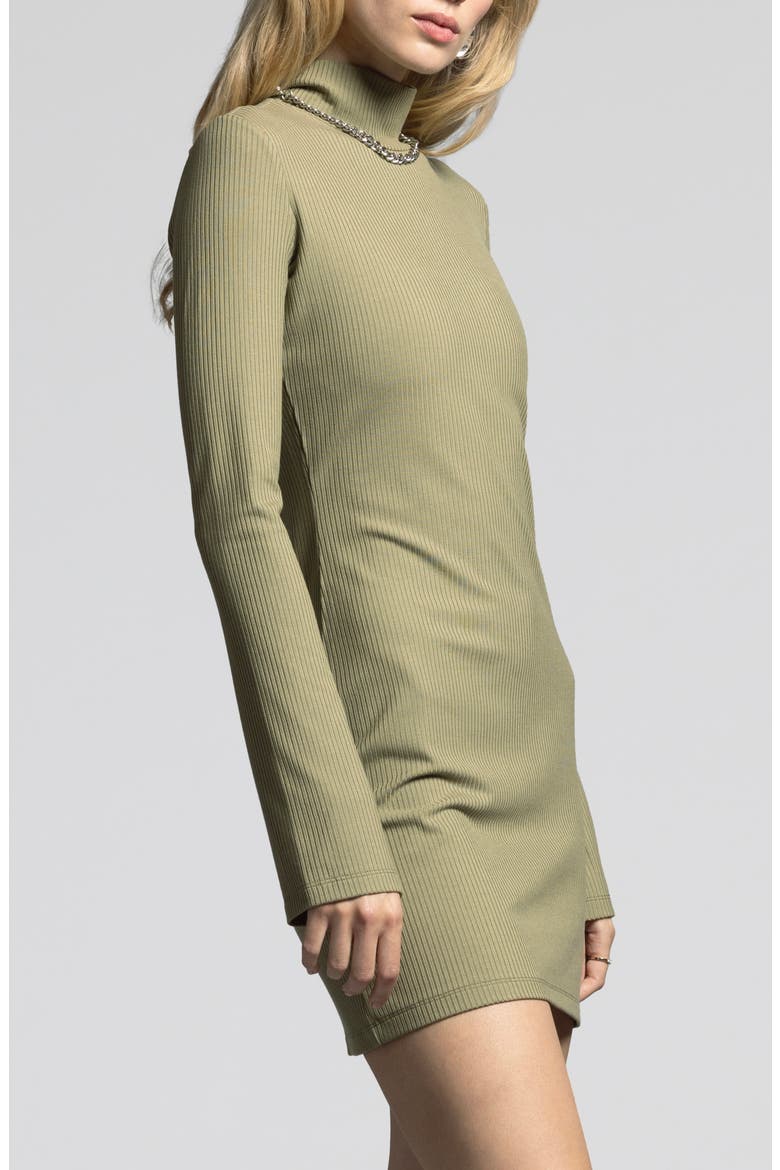 Penelope Turtleneck Long Sleeve Rib Minidress