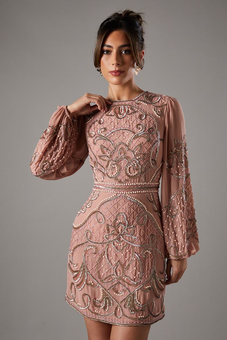Muse Chiffon Embellished Mini Dress