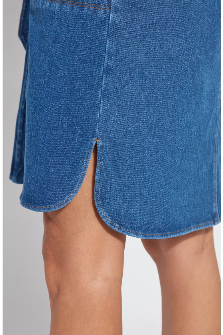 Schiffer Long Sleeve Stretch Cotton Chambray Shirtdress