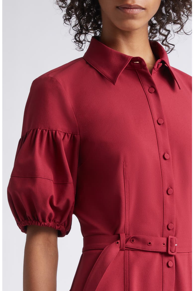 Norel Puff Sleeve Shirtdress