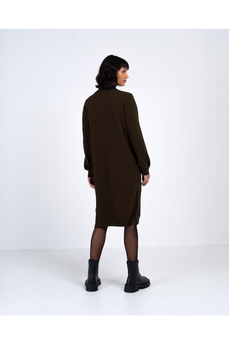 Turtle Neck Knitted Dress