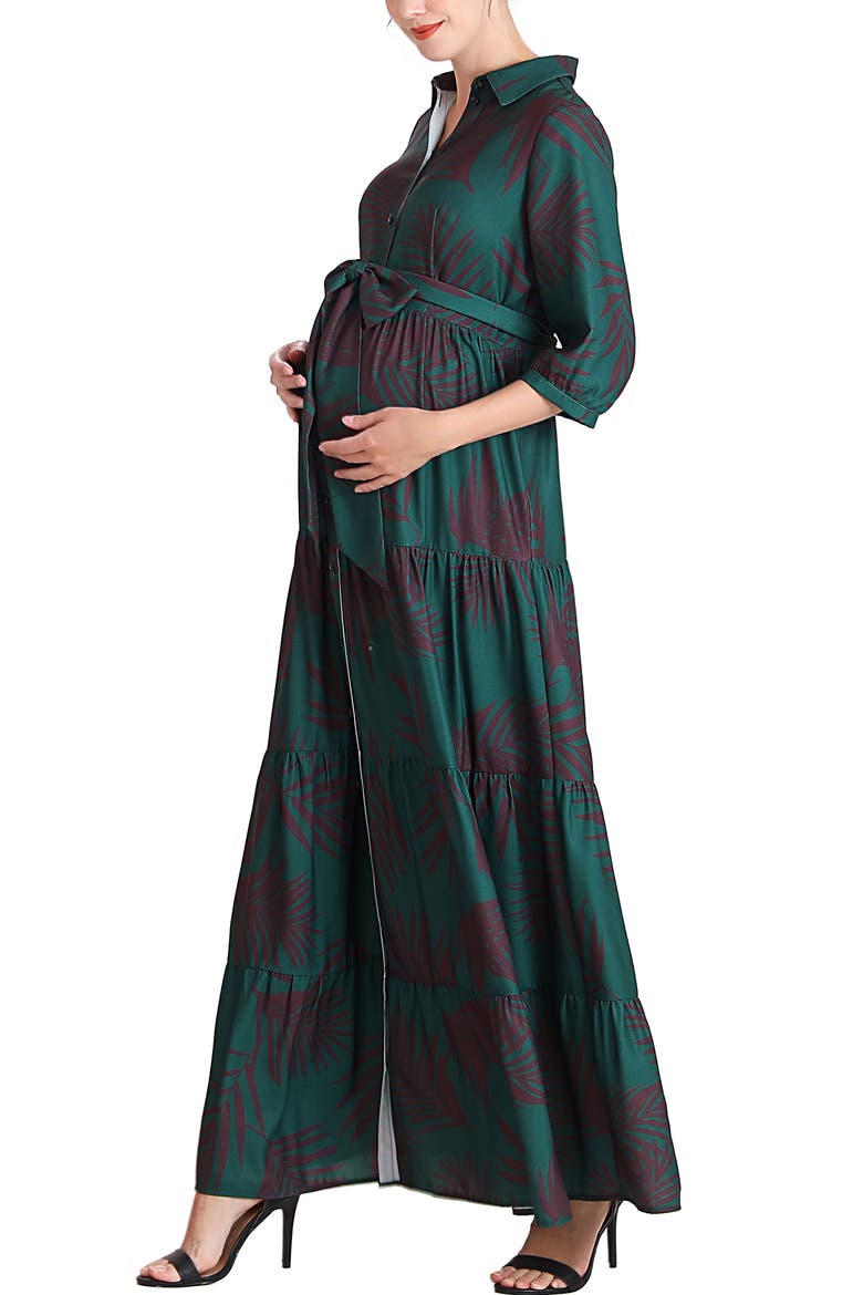 Abree Button Front Maternity Nursing Maxi Dress